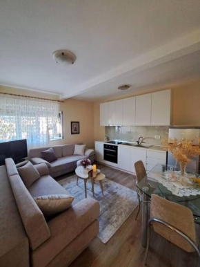 Quiet, Cozy, Luminous Apartment